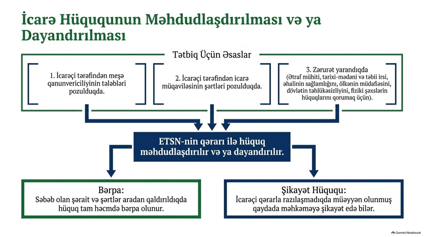 Meşə fondu torpaqlarının icarəyə verilməsi QAYDASI 5