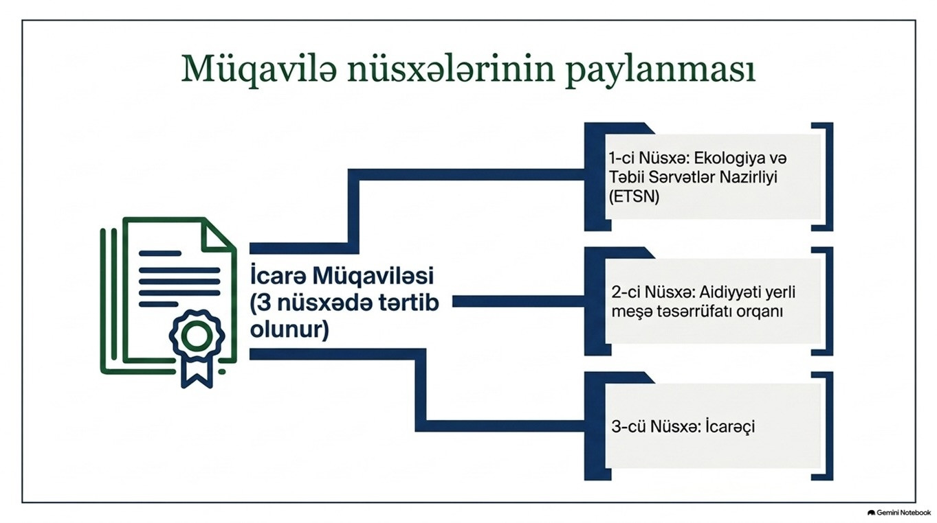 Meşə fondu torpaqlarının icarəyə verilməsi QAYDASI 7