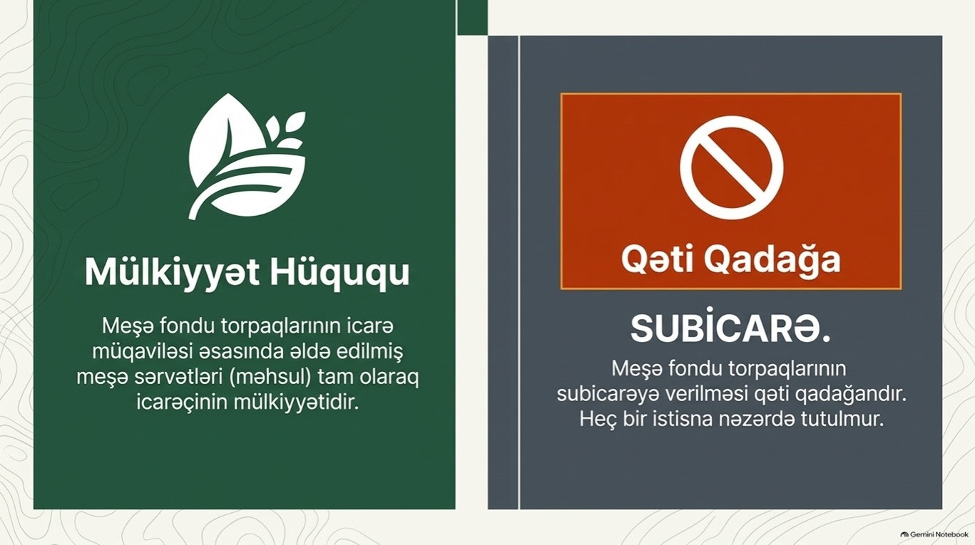 Meşə fondu torpaqlarının icarəyə verilməsi QAYDASI 2