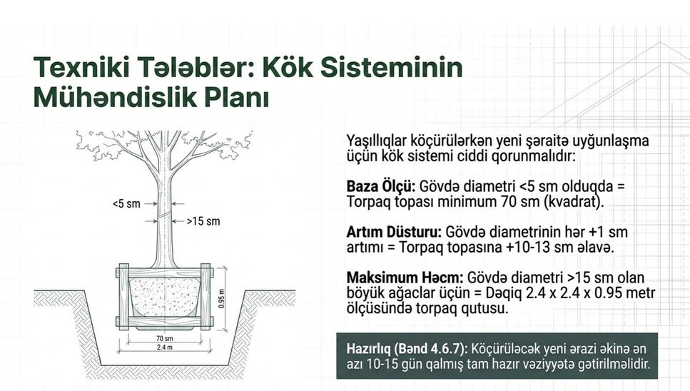 Yaşıllıqların Götürülməsi Qaydası 5