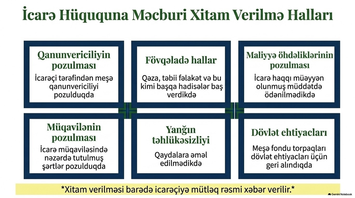 Meşə fondu torpaqlarının icarəyə verilməsi QAYDASI 3