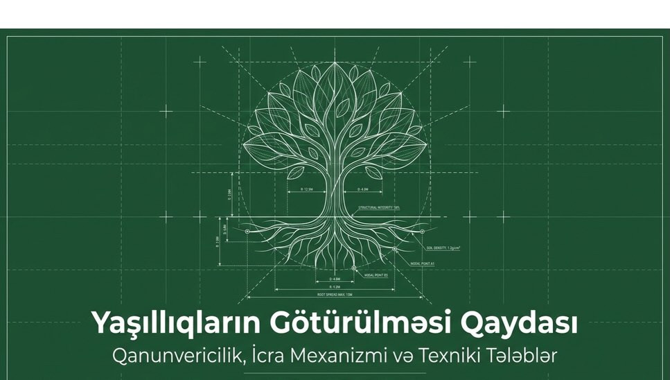 Yaşıllıqların Götürülməsi Qaydası
