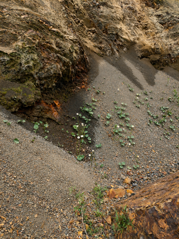 Boyəhməd V mineral bulağı