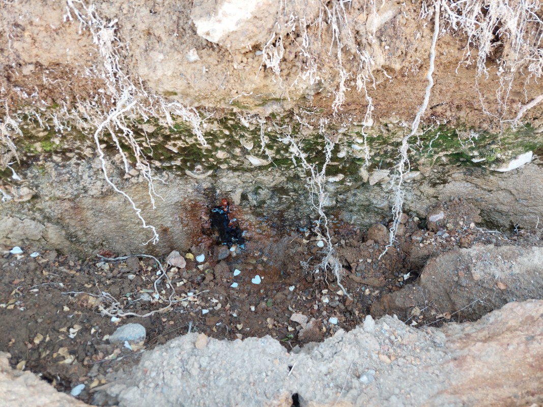 Gal V mineral bulağı